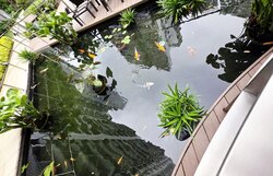 Parc Centros (D19), Condominium #499275141